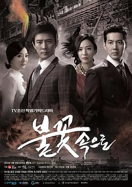 网站建设优化seo建站